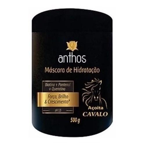 imagem de MASC  ANTHOS ACOITA CAVALO 500G