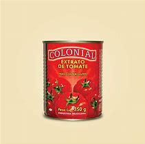 imagem de EXT TOMATE COLONIAL LT 350G