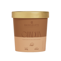 imagem de SORVETE BACIO GELATO 490ML GIANDUIA