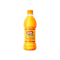 imagem de SUCO DEL VALLE FRUT LARANJA CITRUS 450ML