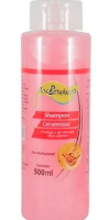 imagem de SH TOK BOTHANICO CERAMIDAS 500ML