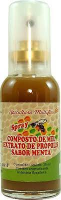 imagem de SPRAY MULTIFLOR  COMP MENTA 35ML