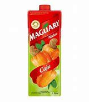 imagem de NECTAR MAGUARY CAJU 1L