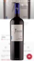 imagem de VINHO CHILENO G7 VARIEL MERLOT 750ML